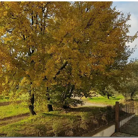 Villa Il Villino Di Cortona